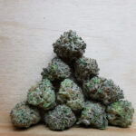 Green Valley's AAAA+ Pink Oreoz Smalls