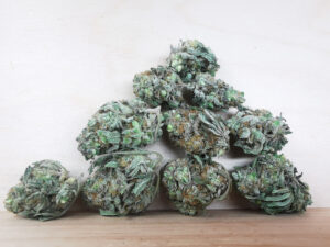Best Sativa Weed Strains in Canada 2021, BuyWeed247