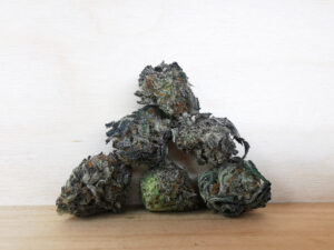 Best Sativa Weed Strains in Canada 2021, BuyWeed247