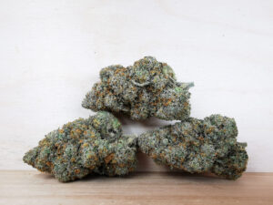 Best Sativa Weed Strains in Canada 2021, BuyWeed247