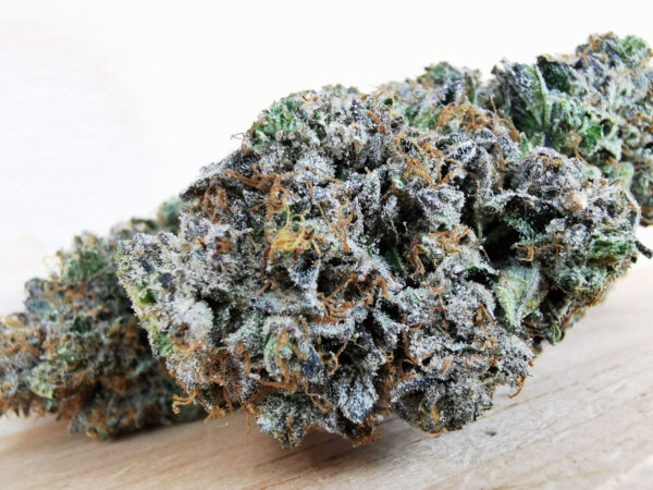 Green Valley's AAAA+ Mike Tyson - Image 4