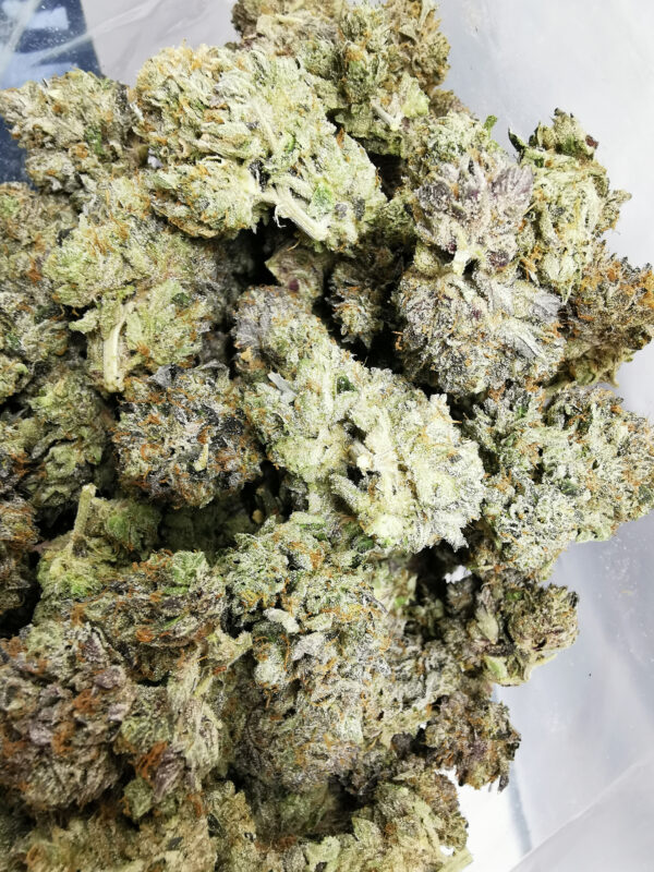 Green Valley's AAAA+ Mike Tyson - Image 3