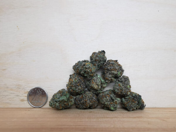 Bulk-Sale AAAA AMG Smalls - Image 2