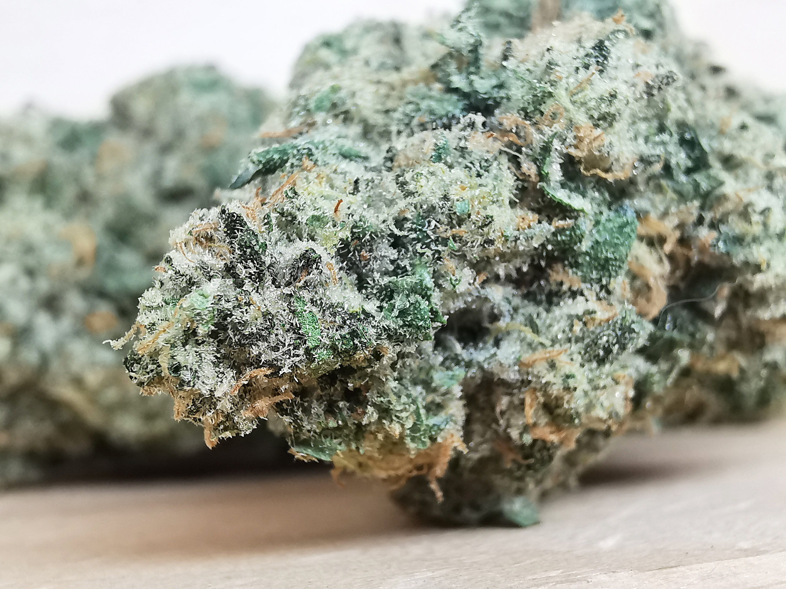 IMG_20251008_115151 Bulk-Sale GV's AAAA Banana OG - Image 4