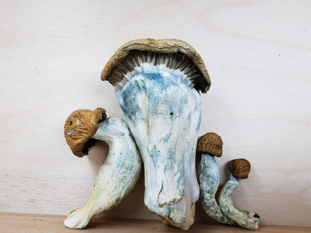 Buy Weed Online, BuyWeed247