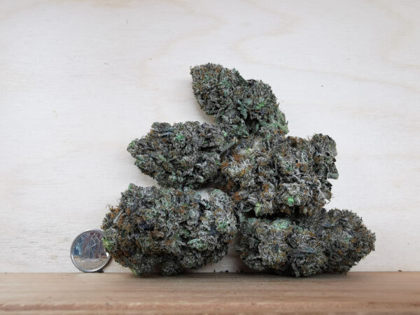 Green Valley's AAAA+ Diablo Death Bubba - Image 3