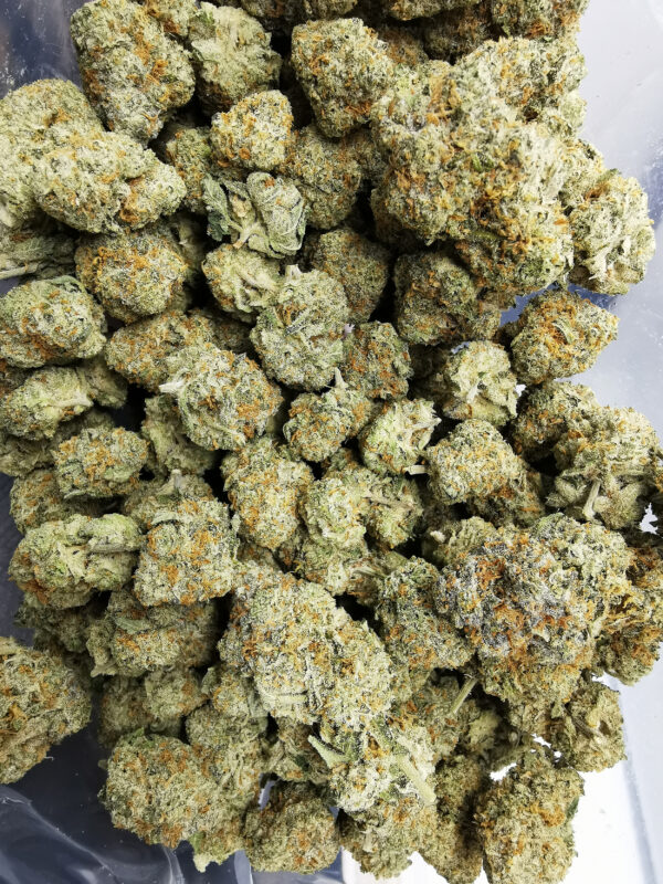 Green Valley's AAAA Gummy Bun - Image 3