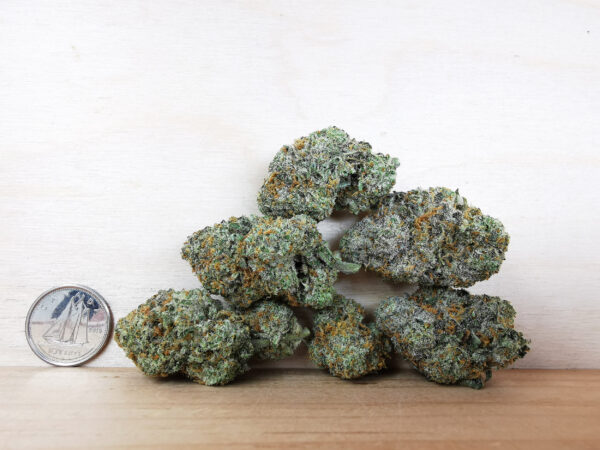 Green Valley's AAAA Gummy Bun - Image 2