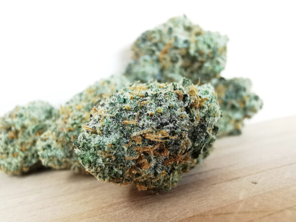 Green Valley's AAAA Gummy Bun - Image 4