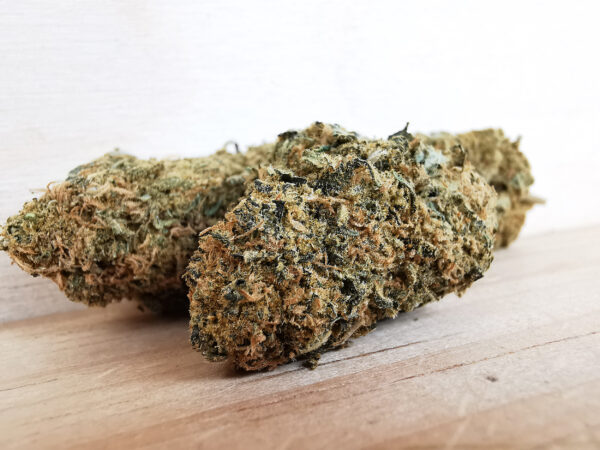 Blue Cookies - Image 4