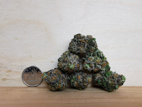 Green Valley's AAAA Bubblegum Marker Med. - Image 2