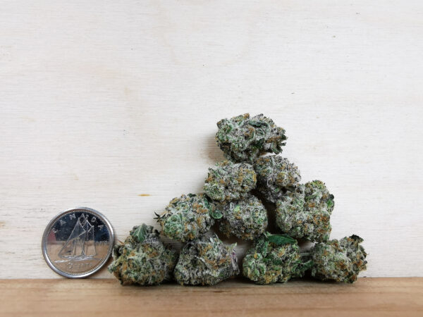 Green Valley's AAAA Durban Poison Smalls - Image 2