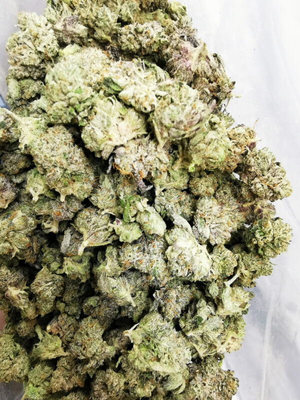 Green Valley's AAAA Rockstar Smalls - Image 3