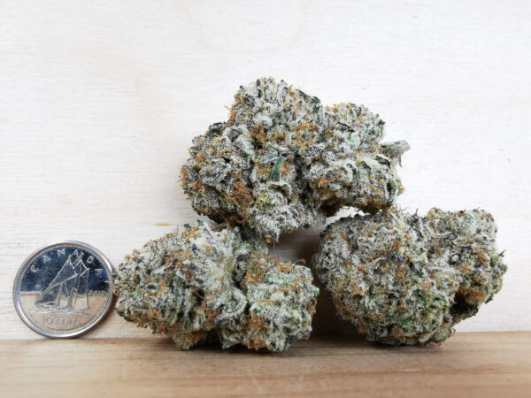 Green Valley's AAAA+ Cookies N Cream - Image 2