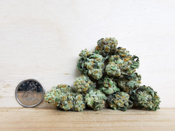 Bulk Sale GV's AAAA Wedding Cake × Monkey Banana Small - Image 2