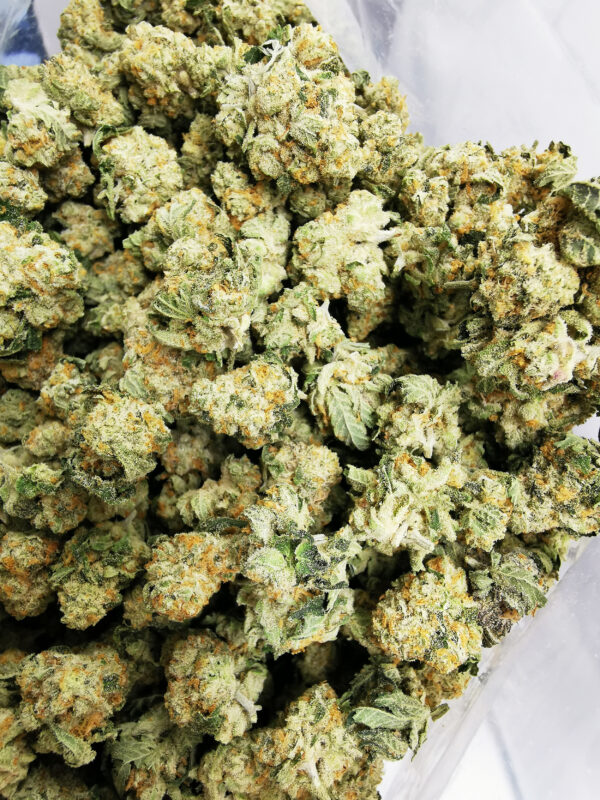 Bulk Sale GV's AAAA Wedding Cake × Monkey Banana Small - Image 3