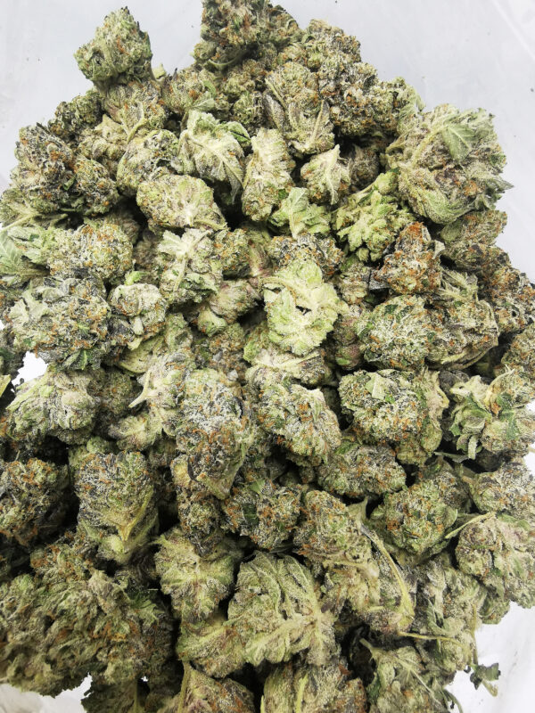 Green Valley's AAAA+ Diablo Death Bubba Med. - Image 4