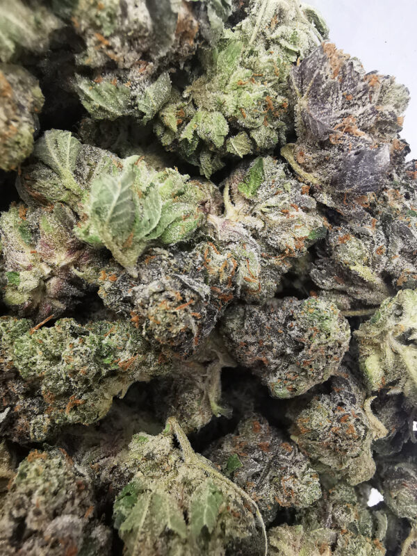 Green Valley's AAAA+ Diablo Death Bubba Med. - Image 3