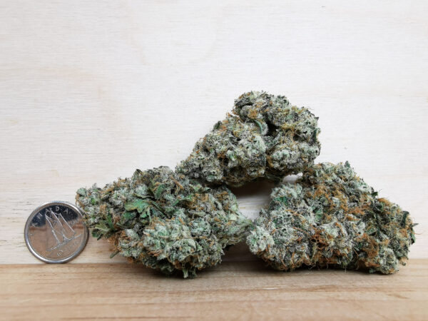 AAAA Pineapple Express - Image 2