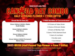 Best Indica Weed Strains in Canada 2021, BuyWeed247