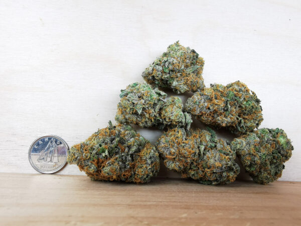 Green Valley's AAAA Cheese Berry - Image 2