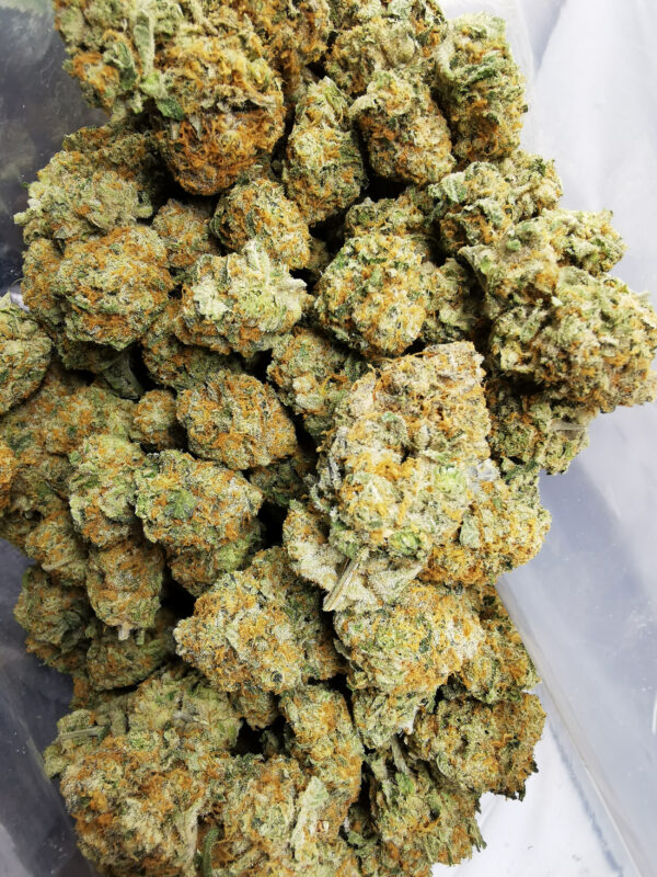 Green Valley's AAAA Cheese Berry - Image 3