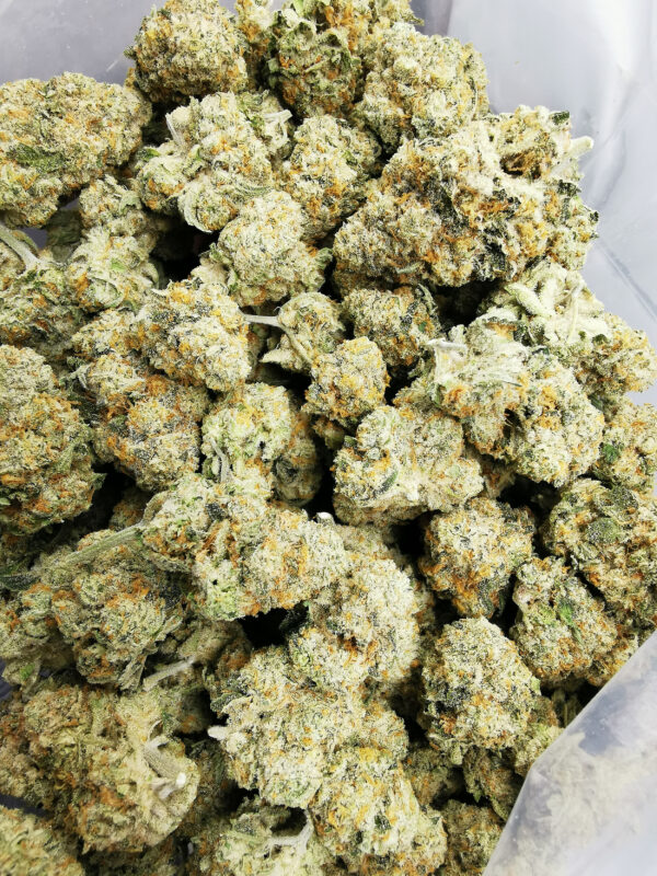 Green Valley's AAAA Double Tangie Banana - Image 3