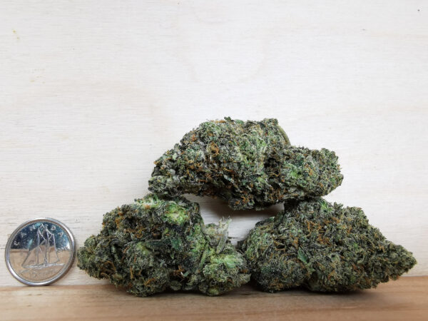 AAAA LA Confidential - Image 2
