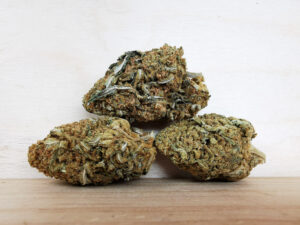 Best Indica Weed Strains in Canada 2021, BuyWeed247