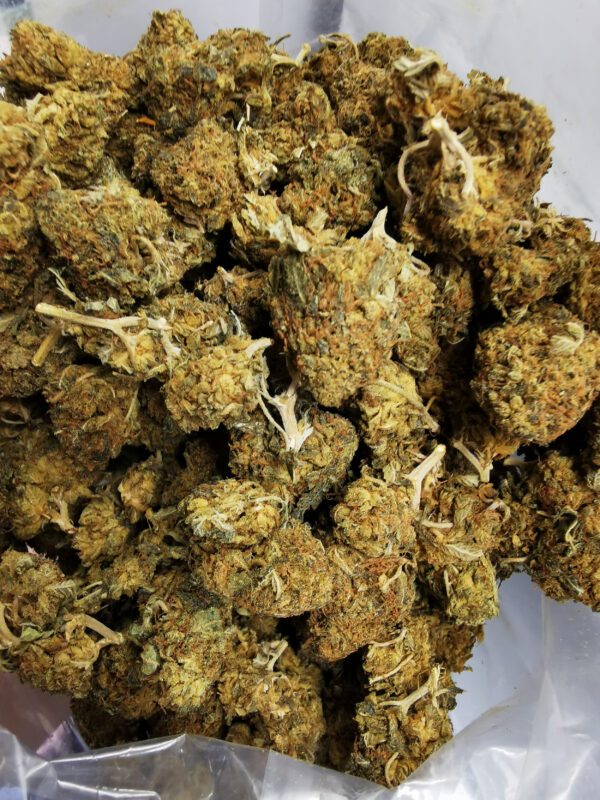 Chocolate Chunk - Image 3