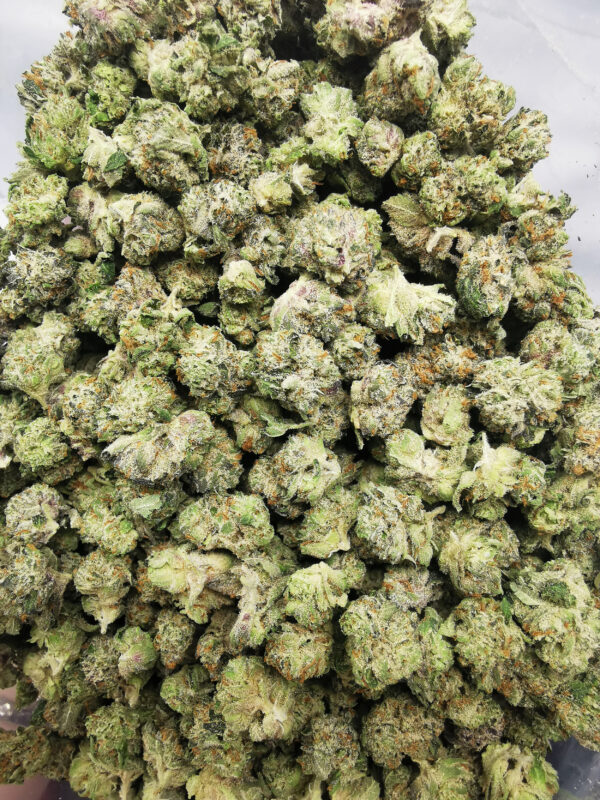 Green Valley's AAAA Pink Death Smalls - Image 3
