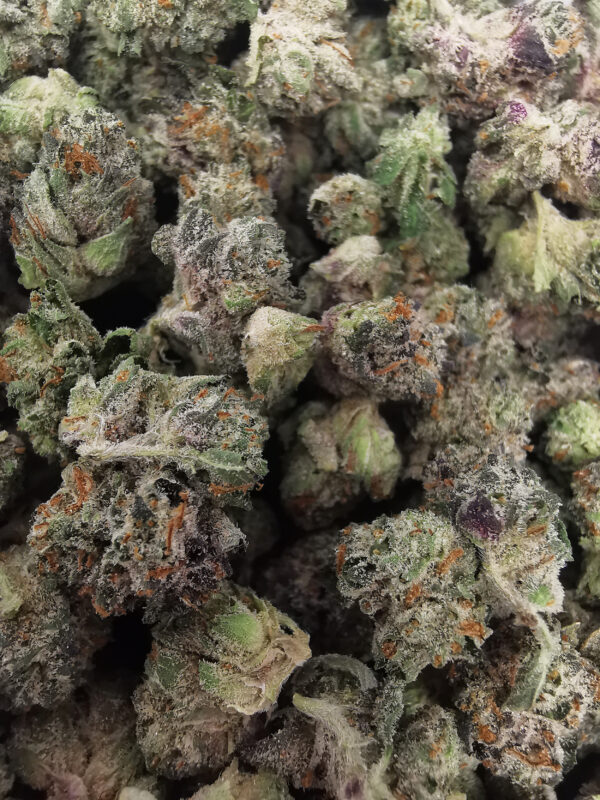 Green Valley's AAAA Pink Death Smalls - Image 4
