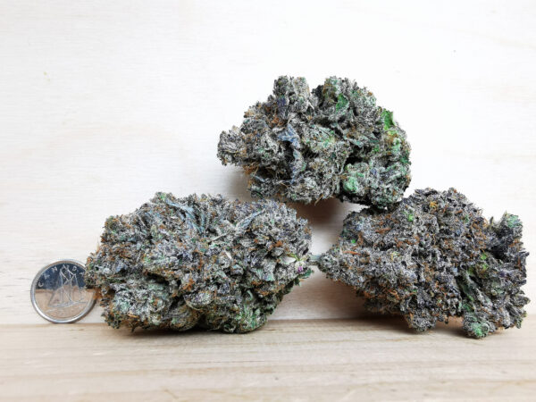 Green Valley's AAAA+ Rockstar x Tuna Kush - Image 2