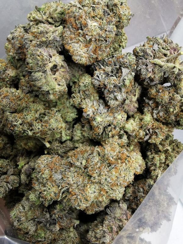 Green Valley's AAAA+ Rockstar x Tuna Kush - Image 4