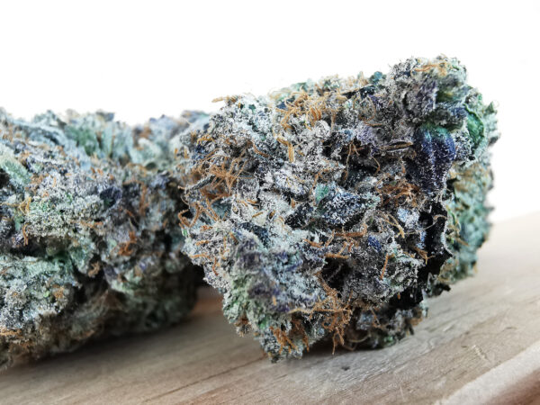 Green Valley's AAAA+ Rockstar x Tuna Kush - Image 3