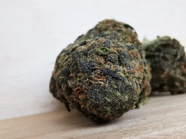Glueberry - Image 4