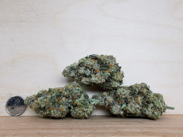 Green Valley's AAAA Wedding Cake × Monkey Banana - Image 3