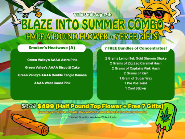Blaze Into Summer HP Flower Combo +7 Free Gifts - Image 1
