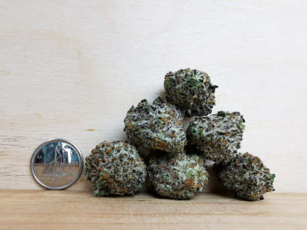 Green Valley's AAAA Fortune Cookies Med. - Image 2