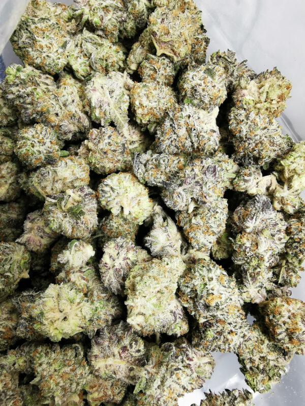 Green Valley's AAAA Fortune Cookies Med. - Image 3