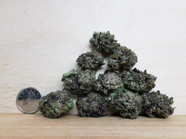 AAAA West Coast Gas Smalls - Image 2