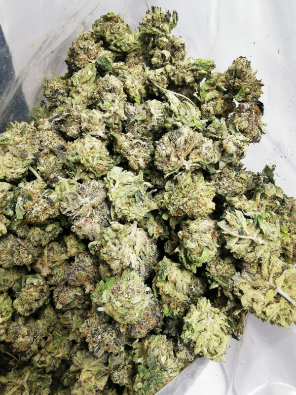 AAAA West Coast Gas Smalls - Image 3