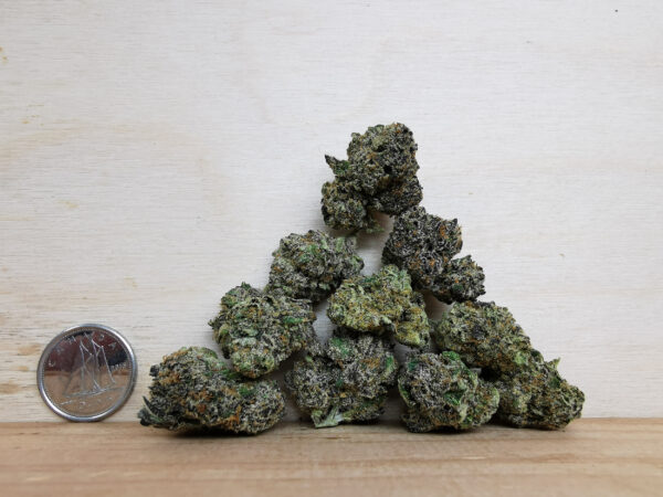 Bulk-Sale AAAA Frosted Fruit Cake Smalls - Image 2