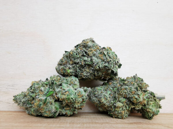 Green Valley's AAAA Lemon Skunk - Image 1