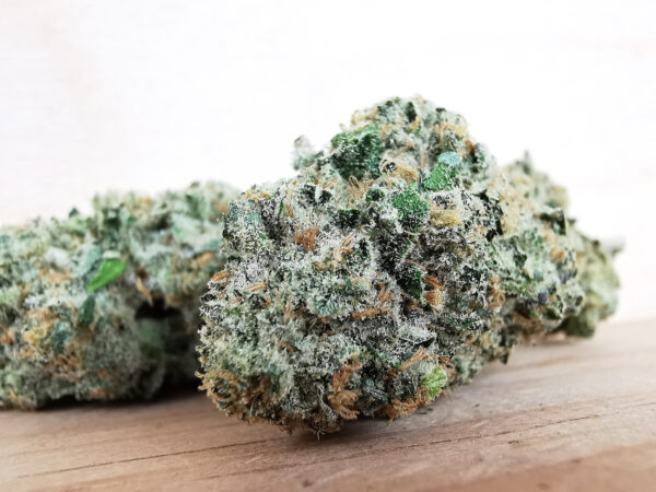 Green Valley's AAAA Lemon Skunk - Image 4