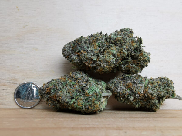 Green Valley's AAAA Black Cherry Gelato - Image 2