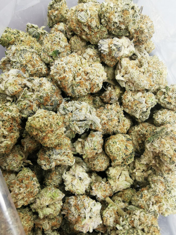 Green Valley's AAAA+ Pink Oreoz - Image 3