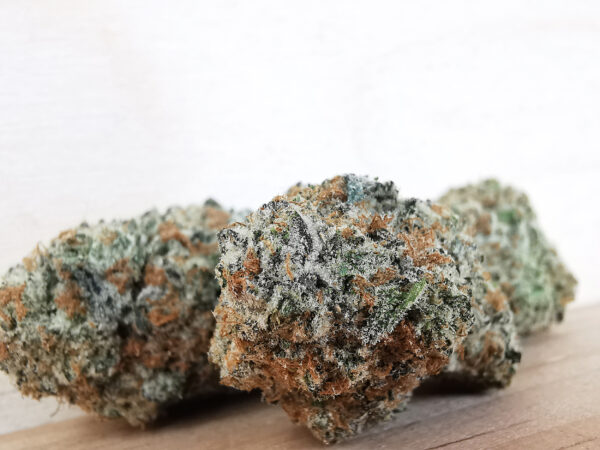 Green Valley's AAAA+ Pink Oreoz - Image 4