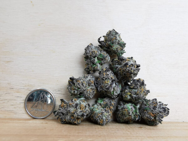 Bulk-Sale GV's AAAA Grape Cheese Smalls - Image 2
