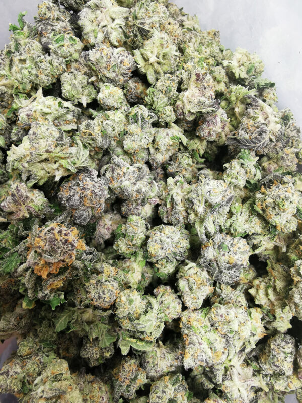 Bulk-Sale GV's AAAA Grape Cheese Smalls - Image 3